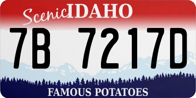 ID license plate 7B7217D