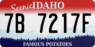 ID license plate 7B7217F
