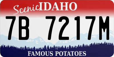 ID license plate 7B7217M