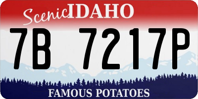 ID license plate 7B7217P