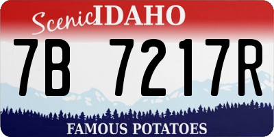ID license plate 7B7217R