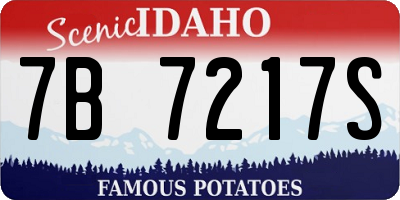 ID license plate 7B7217S