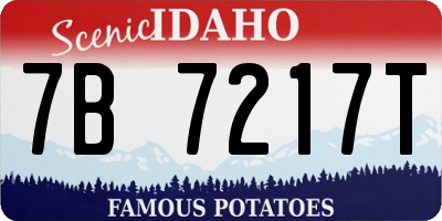 ID license plate 7B7217T