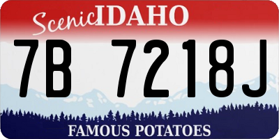 ID license plate 7B7218J