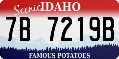 ID license plate 7B7219B