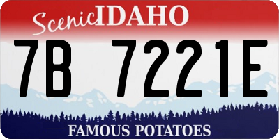 ID license plate 7B7221E