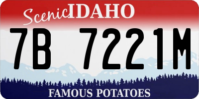 ID license plate 7B7221M