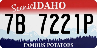 ID license plate 7B7221P