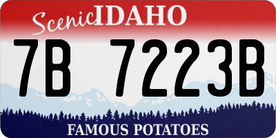 ID license plate 7B7223B