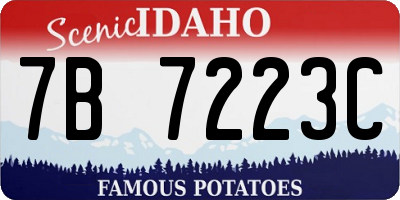 ID license plate 7B7223C