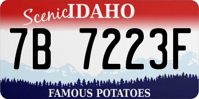 ID license plate 7B7223F