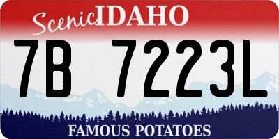 ID license plate 7B7223L