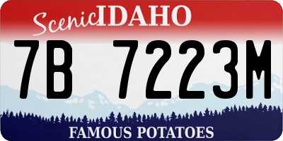 ID license plate 7B7223M