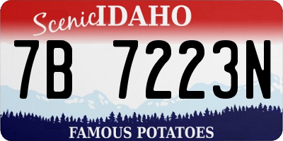 ID license plate 7B7223N
