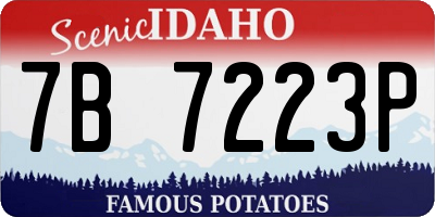 ID license plate 7B7223P