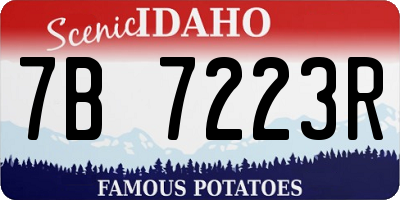 ID license plate 7B7223R
