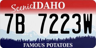 ID license plate 7B7223W