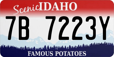 ID license plate 7B7223Y