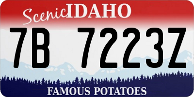 ID license plate 7B7223Z