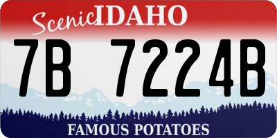 ID license plate 7B7224B