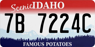 ID license plate 7B7224C