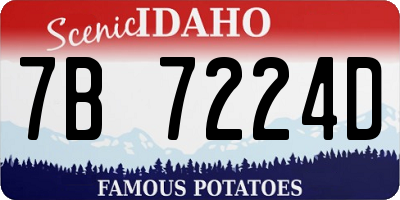 ID license plate 7B7224D