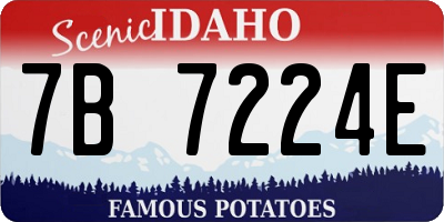 ID license plate 7B7224E