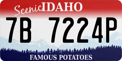 ID license plate 7B7224P