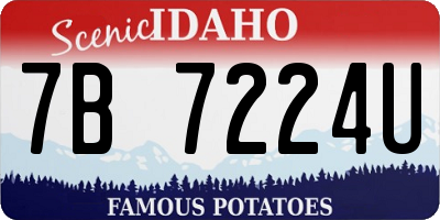 ID license plate 7B7224U