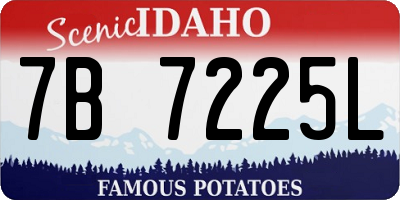 ID license plate 7B7225L