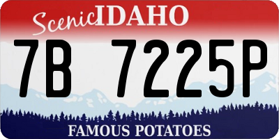ID license plate 7B7225P