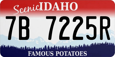 ID license plate 7B7225R