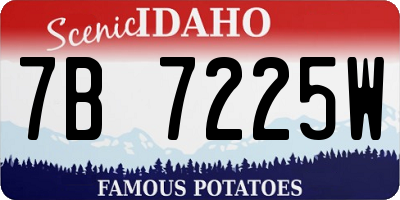 ID license plate 7B7225W