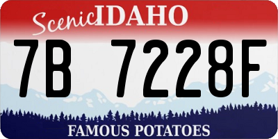 ID license plate 7B7228F