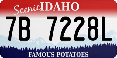 ID license plate 7B7228L