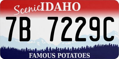ID license plate 7B7229C