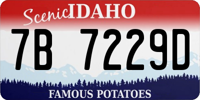 ID license plate 7B7229D