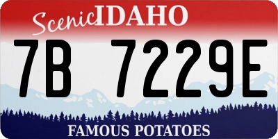 ID license plate 7B7229E