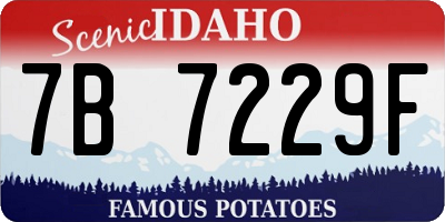ID license plate 7B7229F