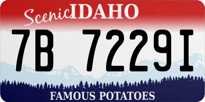 ID license plate 7B7229I
