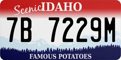ID license plate 7B7229M
