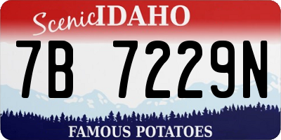 ID license plate 7B7229N