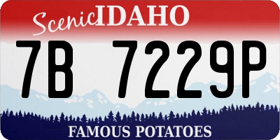 ID license plate 7B7229P