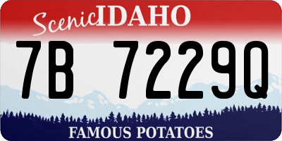 ID license plate 7B7229Q