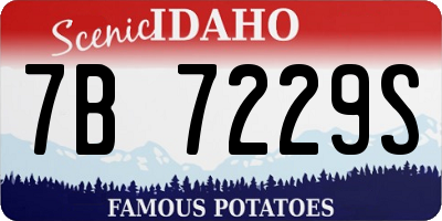 ID license plate 7B7229S