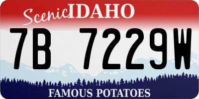 ID license plate 7B7229W
