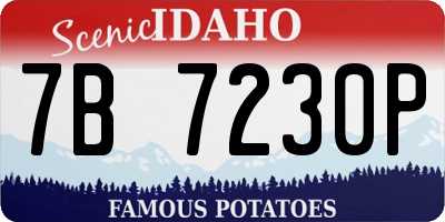 ID license plate 7B7230P