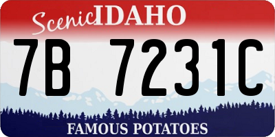 ID license plate 7B7231C
