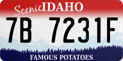 ID license plate 7B7231F