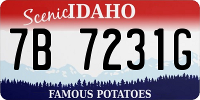 ID license plate 7B7231G